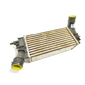 INTERCOOLER L1BG6D624AB 2524812 