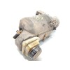Recambio de bomba servodireccion para renault laguna grandtour iii 2.0 dci diesel cat referencia OEM IAM 491100033R  