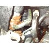 Recambio de motor completo para renault kangoo / grand kangoo ii (kw0/1_) 1.5 dci 110 (kw0c, kw0h) referencia OEM IAM K9K816  