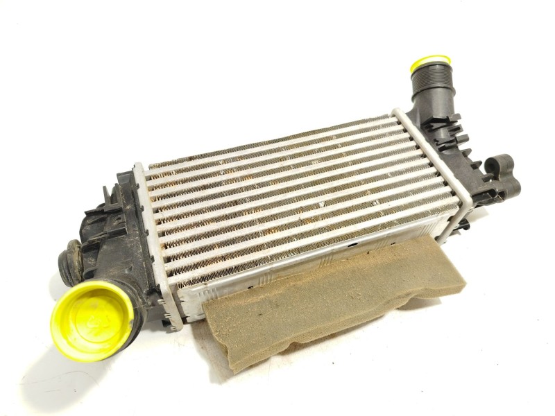 INTERCOOLER L1BG6D624AB 2524812 