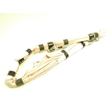 AIRBAG CORTINA DELANTERO DERECHO R2X6R042D94AD 2751207 