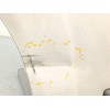 Recambio de puerta delantera izquierda para fiat ducato furgoneta (250_) 130 multijet 2,3 d referencia OEM IAM 46862842  