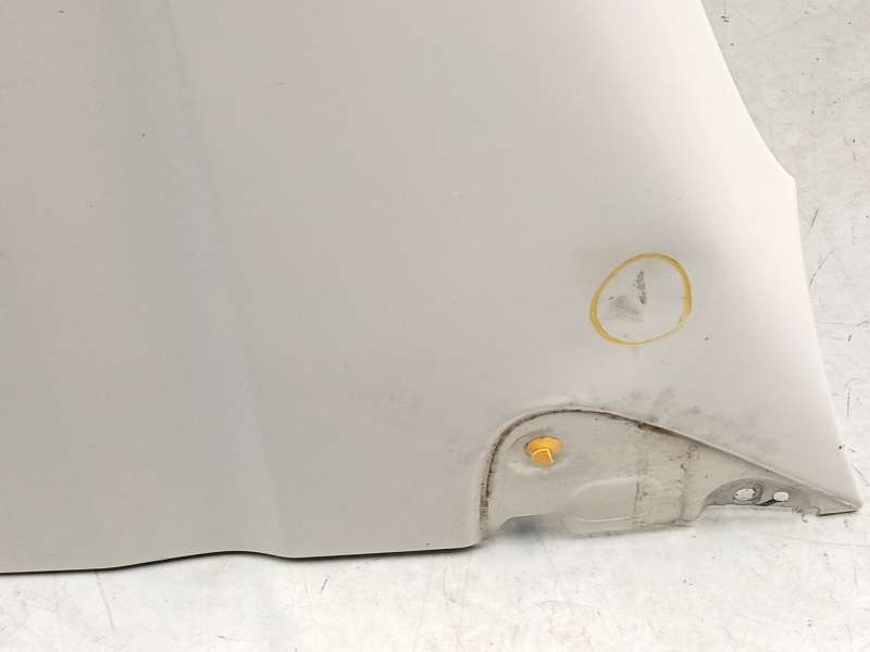 Recambio de aleta delantera izquierda para iveco daily iv furgoneta 29l10 v referencia OEM IAM 5801352974 - Blanco 2