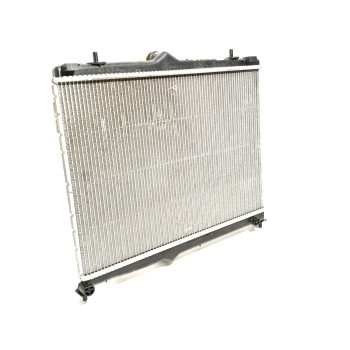 RADIADOR AGUA 9825333380 TP4221364451