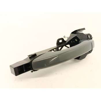 MANETA EXTERIOR DELANTERA IZQUIERDA 806079099R 