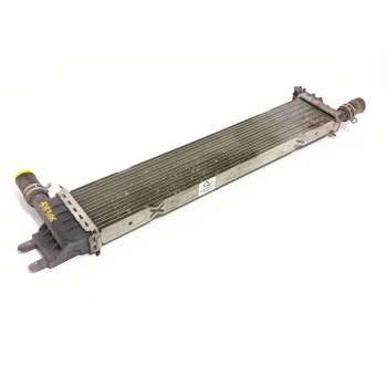 RADIADOR AGUA 214108831R 