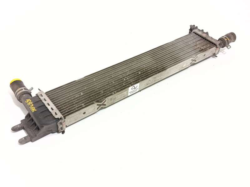 RADIADOR AGUA 214108831R 
