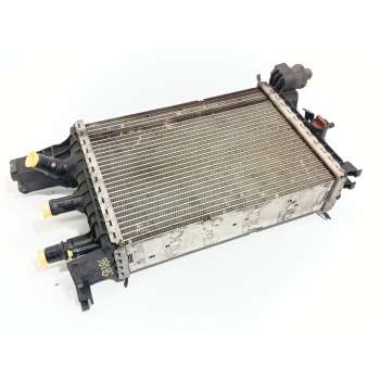 RADIADOR AGUA 214106421R LE958002