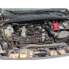 ford puma (j2k, cf7) del año 2024