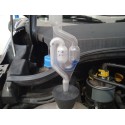 FORD KA (RU8)