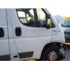 fiat ducato furgoneta (250_) del año 2017