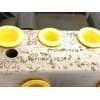 Recambio de abs para renault kangoo kw basico referencia OEM IAM 476602079R 226516516 269790