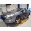 peugeot 407 (6d_) del año 2004