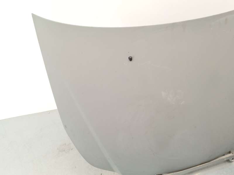 Recambio de capot para suzuki sx4 (ey, gy) 1.9 ddis 4x4 (rw 419d) referencia OEM IAM 5730079J00 2
