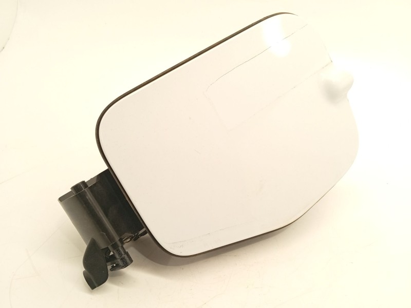 TAPA EXTERIOR COMBUSTIBLE R2X6S27936A 2687510 2808163