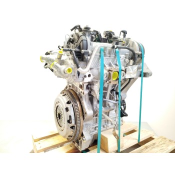 MOTOR COMPLETO DSG DSGD 