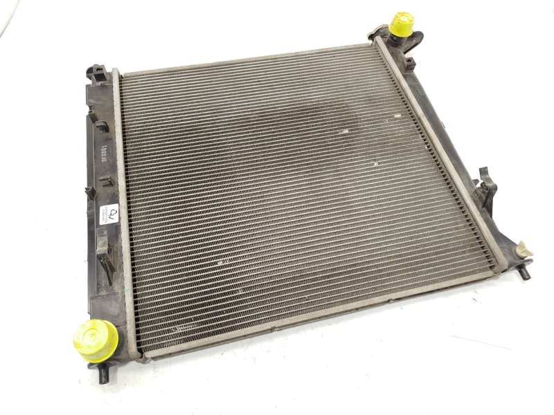 RADIADOR AGUA 253102Y000 253102Y001 