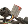 Recambio de amortiguadores maletero / porton para ford kuga iii (dfk) 2.5 duratec plug-in-hybrid referencia OEM IAM LV4BS402A55C