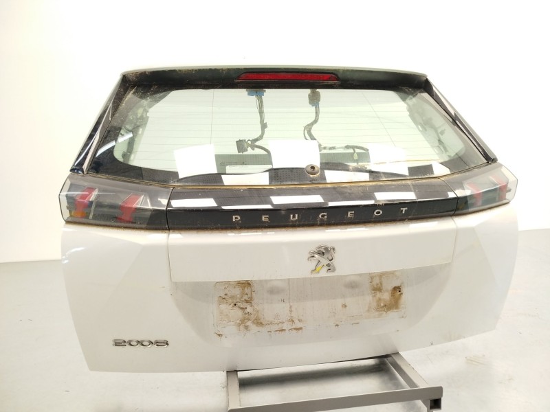 PORTON TRASERO 9831045880 983285521T 9825512480