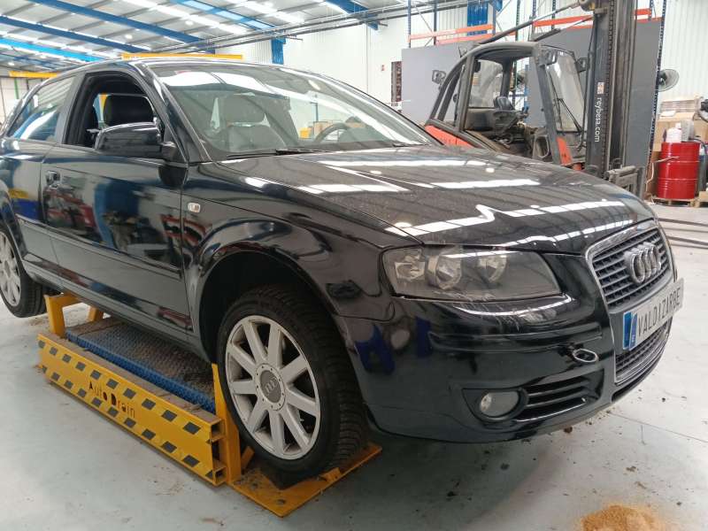 AUDI A3 (8P1)