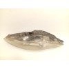 Recambio de faro derecho para peugeot 308 i (4a_, 4c_) 1.6 hdi referencia OEM IAM 9656162480 6206F5 