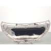 Recambio de capot para nissan nv200 / evalia autobús 1.5 dci 90 (m20, m20m) referencia OEM IAM F5100BJ0MA  