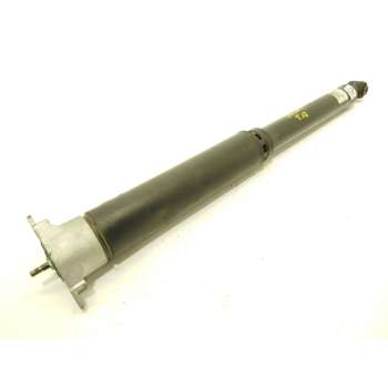 AMORTIGUADOR TRASERO IZQUIERDO L1TC18080FH 2467582 L1TC18080FG