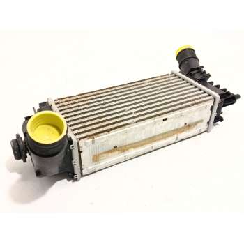 INTERCOOLER L1BG6D624AB 2401111 