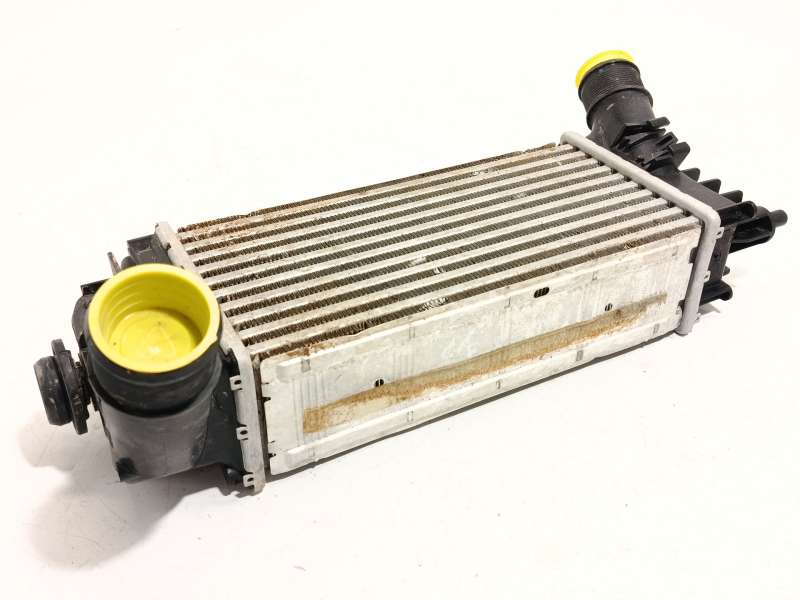 INTERCOOLER L1BG6D624AB 2401111 