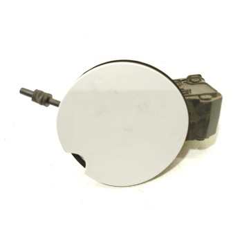 TAPA EXTERIOR COMBUSTIBLE 781200025R 