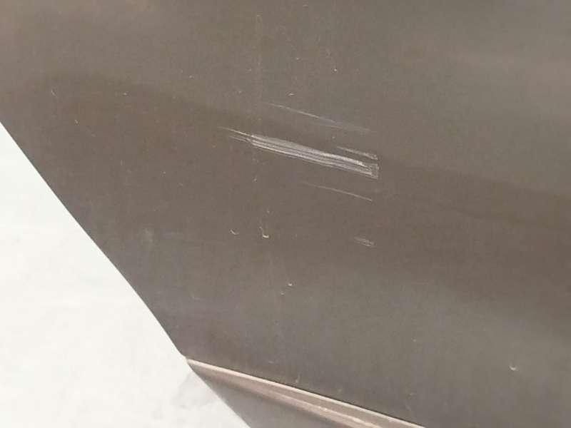 Recambio de puerta trasera derecha para renault scénic iii (jz0/1_) 1.5 dci referencia OEM IAM 821005429R 5
