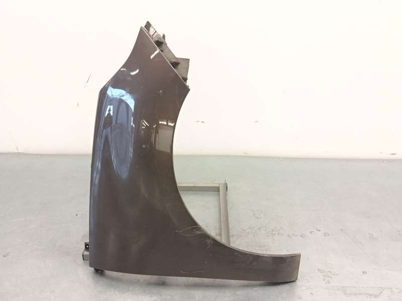 Recambio de aleta delantera derecha para renault scénic iii (jz0/1_) 1.5 dci referencia OEM IAM 631007894R 2
