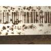 Recambio de electroventilador para renault scénic iii (jz0/1_) 1.5 dci referencia OEM IAM 214810898R  