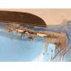 Recambio de paragolpes delantero para ford ka (ru8) 1.2 referencia OEM IAM 1580991  