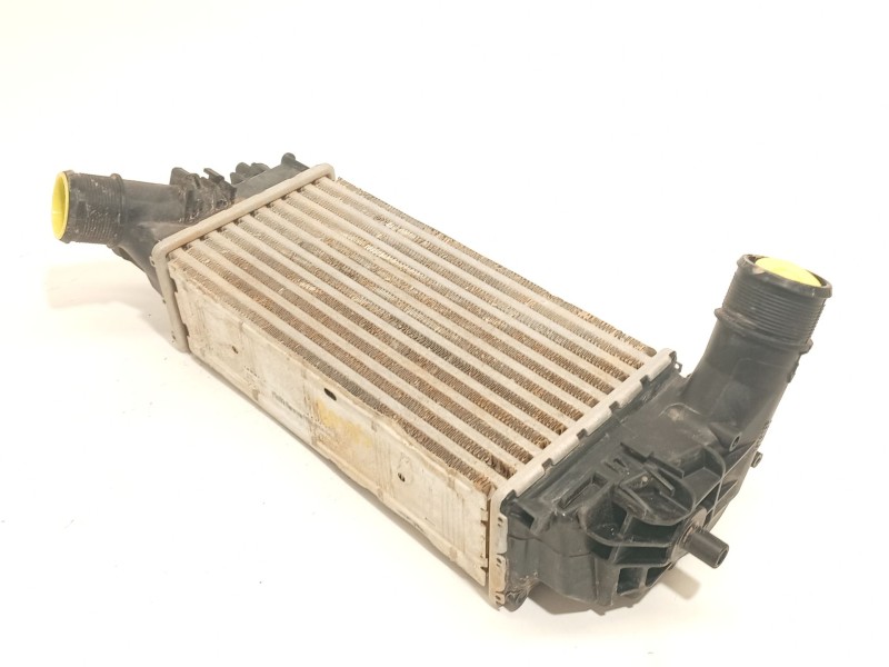 INTERCOOLER L1BG6D624AB 2524812 