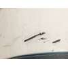 Recambio de paragolpes trasero para seat leon (1m1) 1.9 tdi referencia OEM IAM 1M6807417BDGRU  