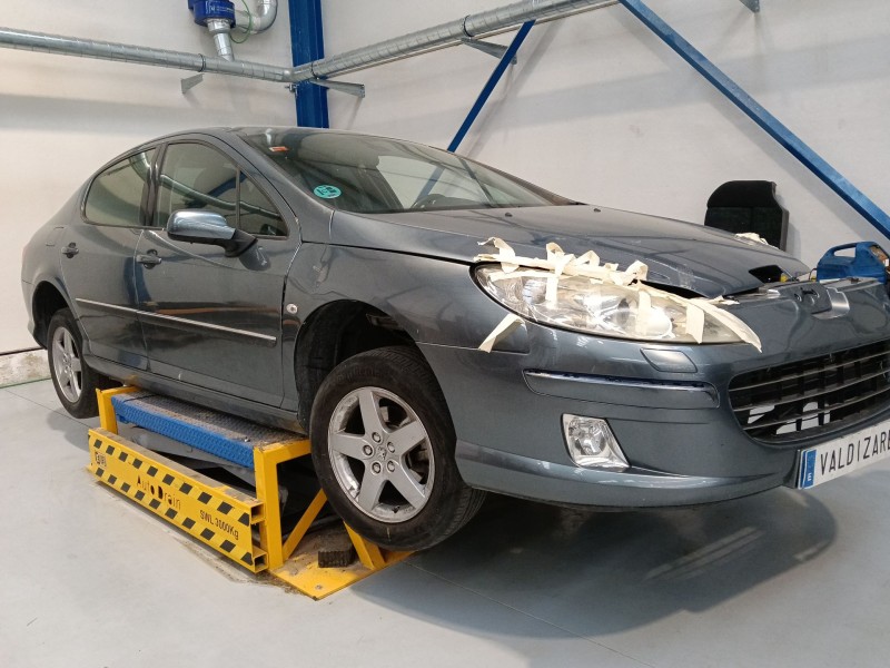 PEUGEOT 407 (6D_)