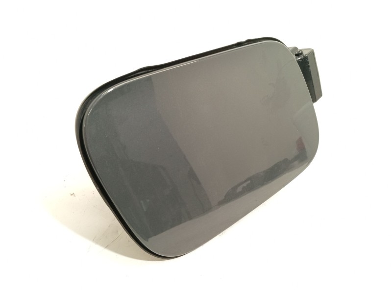 TAPA EXTERIOR COMBUSTIBLE 571809857AGRU 