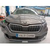 skoda kamiq (nw4) del año 2022
