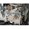 skoda kamiq (nw4) del año 2022