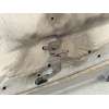 Recambio de capot para kia carens iv 1.7 crdi referencia OEM IAM 66400A4000  
