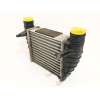 Recambio de intercooler para audi a4 b7 (8ec) 2.0 tfsi referencia OEM IAM 8E0145806M  3230257