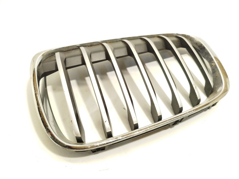 REJILLA PARAGOLPES IZQUIERDA 7383365 51117383365 