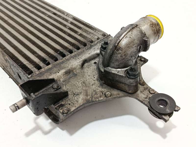 Recambio de intercooler para nissan qashqai i (j10, nj10) 2.0 dci referencia OEM IAM 14461JD50B  G3062005 5