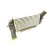 Recambio de intercooler para ford puma (j2k, cf7) 1.0 ecoboost mhev referencia OEM IAM L1BG6D624AB 2524812 