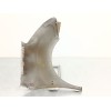 Recambio de aleta delantera izquierda para citroën berlingo furgoneta/monovolumen (b9) 1.6 hdi / bluehdi 75 referencia OEM IAM 7