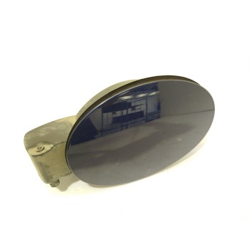 TAPA EXTERIOR COMBUSTIBLE 156139013 50544108 
