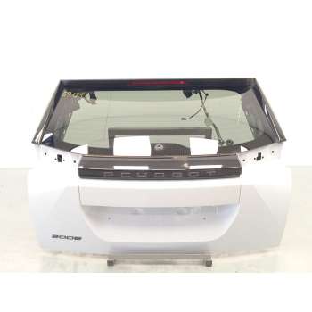 PORTON TRASERO 9831045880 983285521T 9825512480