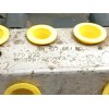 Recambio de abs para peugeot rifter active long referencia OEM IAM 9812786180 2265106539 970025