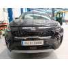 kia niro (de) del año 2019